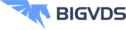 Логотип BigVDS