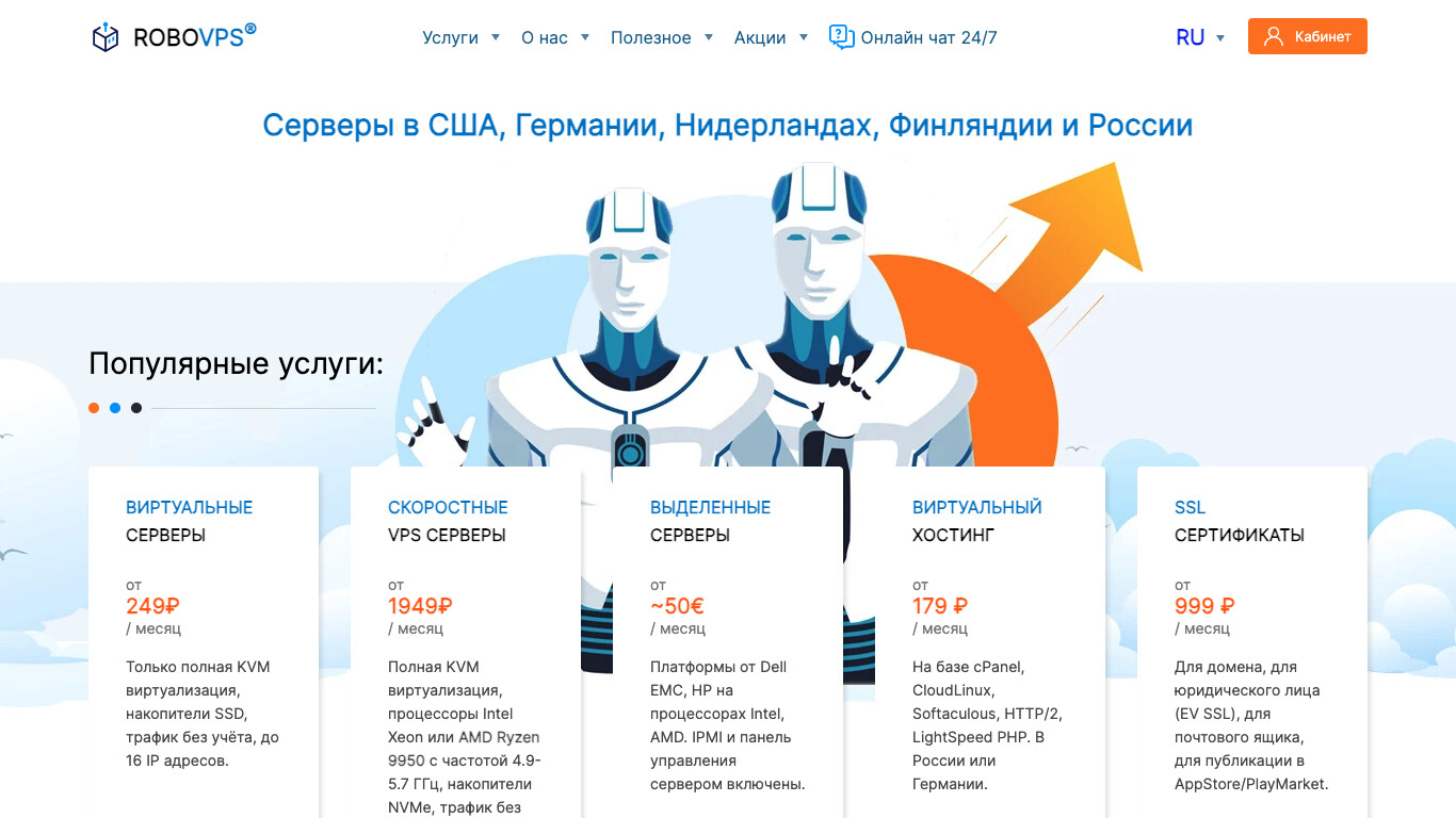 Скриншот RoboVPS