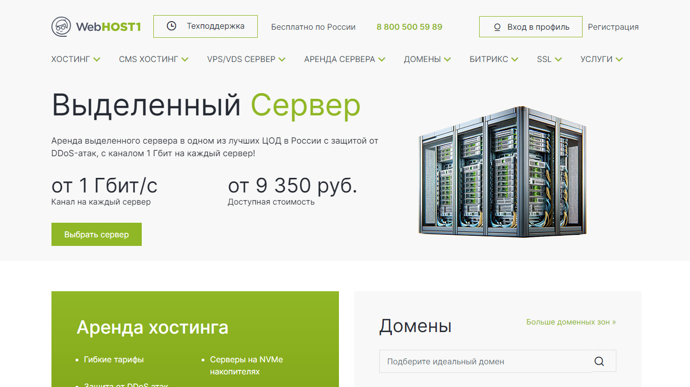 Скриншот хостера WebHOST1