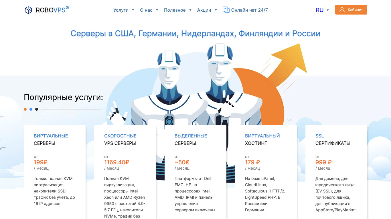 Скриншот RoboVPS