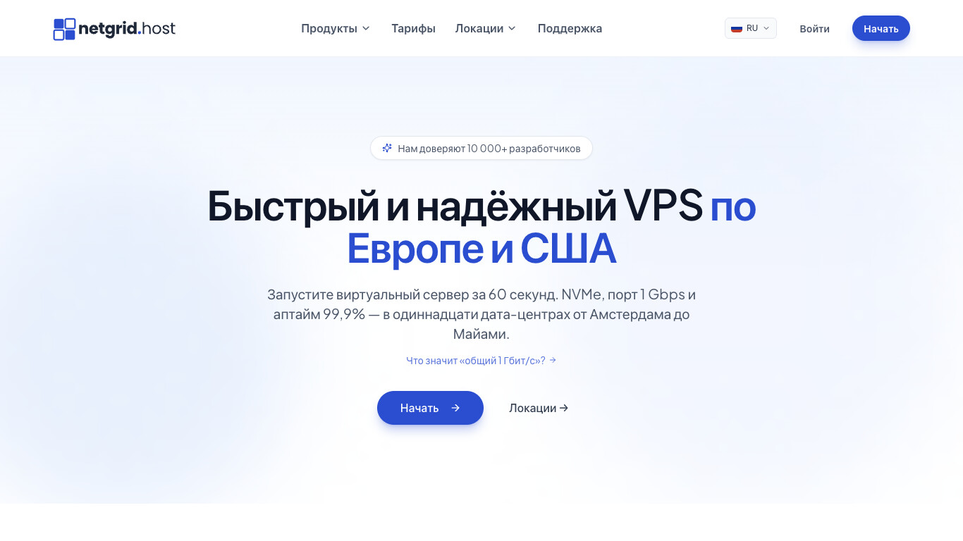 Скриншот хостера NetGrid Host